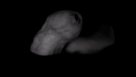 yeasayer online show from 10-08-25, 01:25