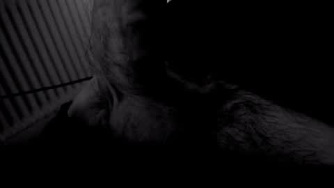 yeasayer online show from 11-02-25, 09:28