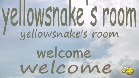 .     y e l l o w s n a k e s       . online show from 09-30-25, 10:37