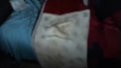 .     y e l l o w s n a k e s       . online show from 11-03-25, 10:16