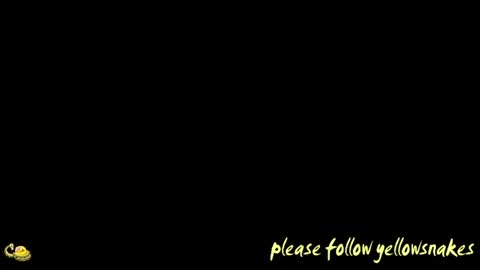 .     y e l l o w s n a k e s       . online show from 12-02-25, 12:43