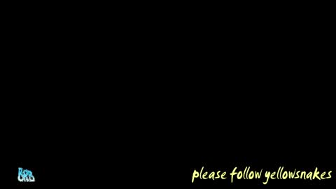 .     y e l l o w s n a k e s       . online show from 05-12-26, 05:10