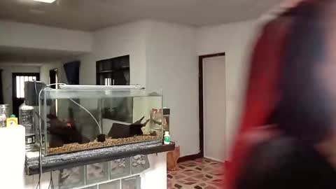 Snapshot of yesika_t chatting on 01-09-26, 05:48 yesika_t online show from 01-09-26, 05:48