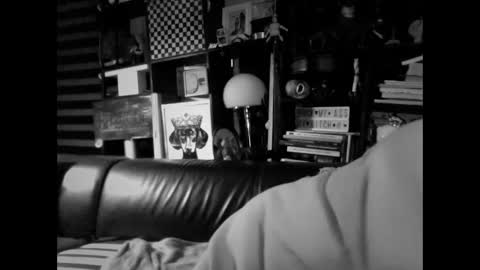 Snapshot of yessex247 chatting on 02-19-26, 06:20 yessex247 online show from 02-19-26, 06:20