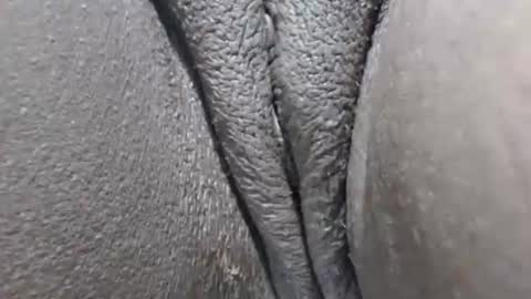 yirily online show from 03-21-26, 05:34