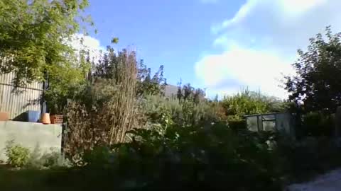 Yoann online show from 10-09-25, 01:42