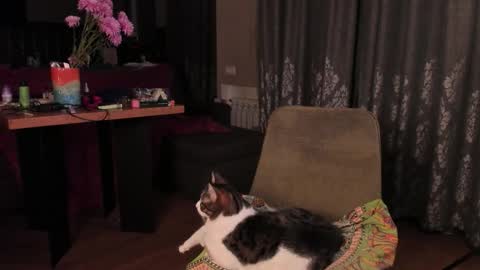 Max online show from 11-14-25, 04:33