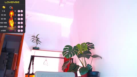 Enzo online show from 01-06-25, 03:09