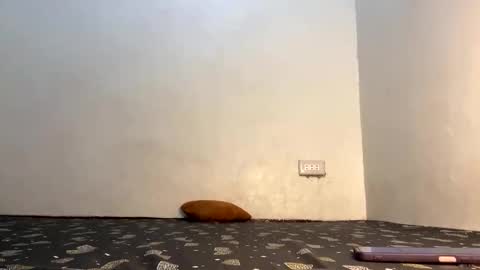 fin online show from 04-21-26, 06:09