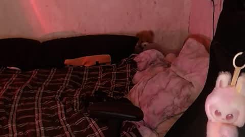 your_8a8y online show from 11-18-25, 04:33