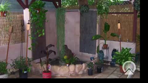 Snapshot of your_king_of_hearts chatting on 02-24-25, 10:26 Sophiestar online show from 02-24-25, 10:26