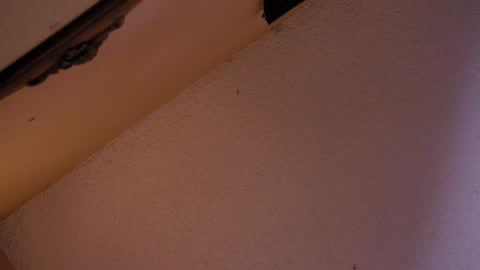 Snapshot of your_king_of_hearts chatting on 10-18-25, 02:58 Sophiestar online show from 10-18-25, 02:58