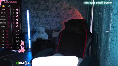 Snapshot of your_small_bunny chatting on 09-16-25, 02:34 Molly online show from 09-16-25, 02:34