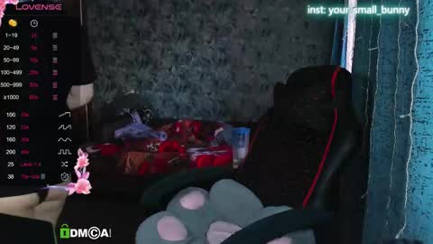 Snapshot of your_small_bunny chatting on 09-30-25, 02:49 Molly online show from 09-30-25, 02:49