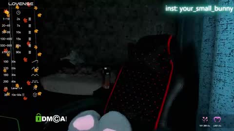 Snapshot of your_small_bunny chatting on 11-16-25, 02:06 Molly online show from 11-16-25, 02:06