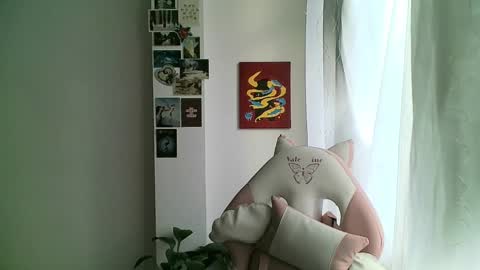 Snapshot of your_sttar chatting on 01-08-25, 11:54 your sttar online show from 01-08-25, 11:54