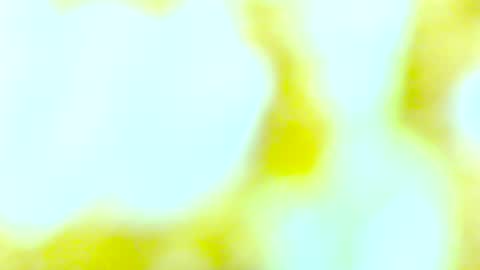 Snapshot of yourmynorthstar chatting on 10-13-25, 09:48 Edging4U online show from 10-13-25, 09:48