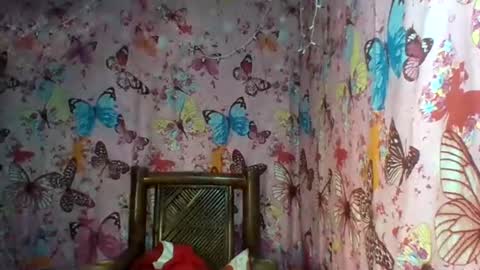 im MAY online show from 02-12-25, 10:37