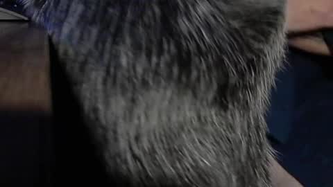 YumGuy69 online show from 09-17-25, 12:40