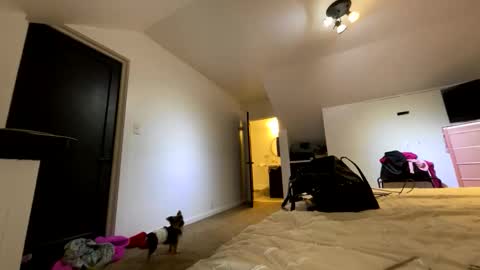 BbyTSSLut online show from 11-21-25, 02:32