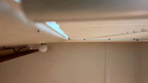 Snapshot of yungstudbev chatting on 03-01-26, 12:40 yungstudbev online show from 03-01-26, 12:40