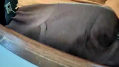 Snapshot of yuppers1234 chatting on 12-19-25, 04:36 yuppers1234 online show from 12-19-25, 04:36