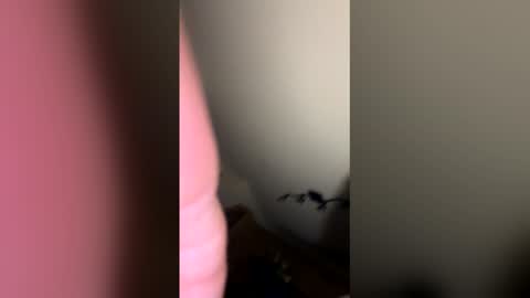 zachmurphbigboy online show from 03-01-26, 03:41