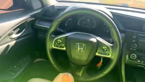 zadddy209 online show from 12-20-24, 07:39