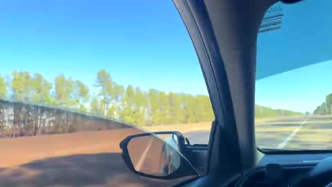 zadddy209 online show from 01-20-25, 05:37