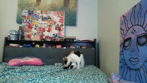 zaddyslilslutbucket online show from 09-13-25, 10:20