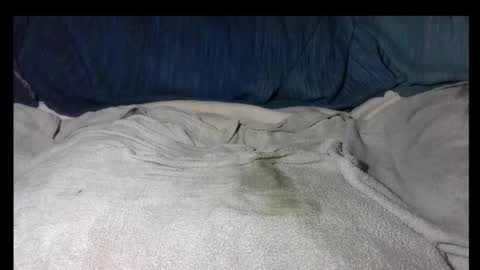 Snapshot of zakilandi chatting on 12-02-25, 06:36 pollasucia13 online show from 12-02-25, 06:36