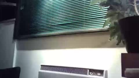 zalina2 online show from 03-08-26, 06:06