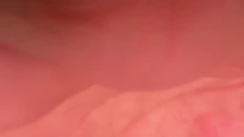 zebbarbrahim online show from 12-01-25, 02:22