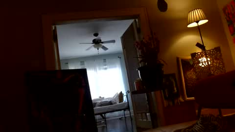 zedlav4 online show from 11-28-25, 09:50