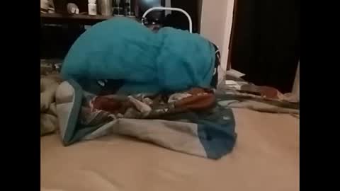 zero online show from 12-14-24, 03:36