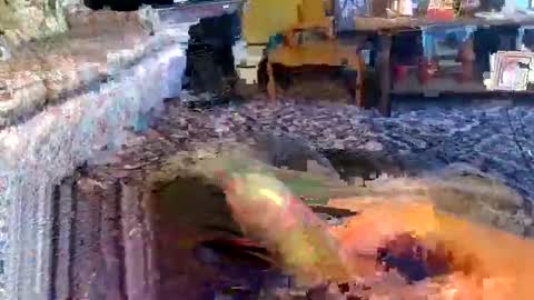 Snapshot of zerrannor chatting on 11-01-25, 09:00 Zerr online show from 11-01-25, 09:00