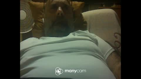 Snapshot of zeusdioss chatting on 07-08-26, 12:48 zeusdioss online show from 07-08-26, 12:48