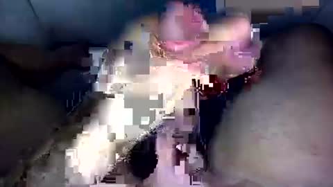 zezin1 online show from 09-19-25, 03:30