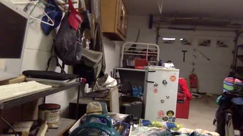 ziggyyz online show from 02-24-25, 11:21