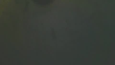 zomma44 online show from 05-27-26, 03:03