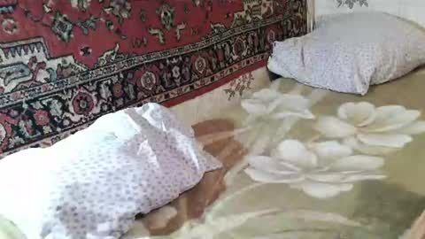Zulfiya online show from 07-25-26, 06:27