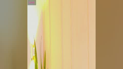 Zara online show from 07-25-26, 07:22