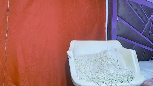 Snapshot of roxana_collins chatting on 09-21-25, 09:22 roxana collins online show from 09-21-25, 09:22