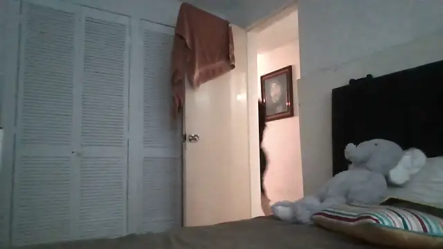 panquesitorico online show from 04-13-26, 12:49