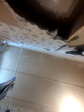 AshleyDalton101 online show from 03-29-26, 06:08