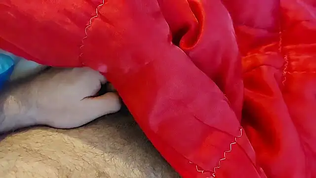 Snapshot of Ettarak chatting on 02-08-26, 12:14 Ettarak online show from 02-08-26, 12:14