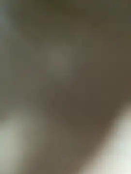 Lia flowers online show from 03-01-25, 01:11