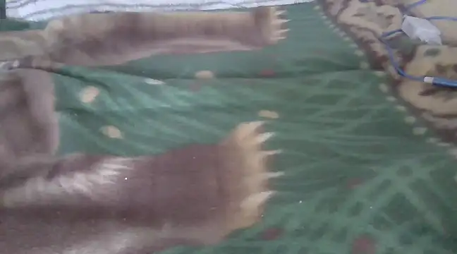 zorritasuperhot online show from 02-09-25, 05:33