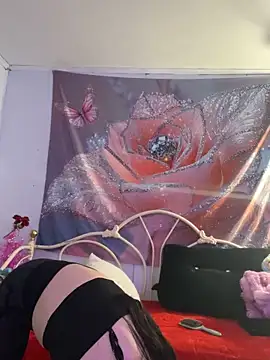 DominiqueX0 online show from 02-20-26, 09:04