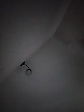 LissaThompsom online show from 03-04-26, 11:38